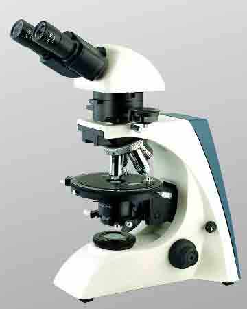 食用菌菌种鉴定---显微镜观察法