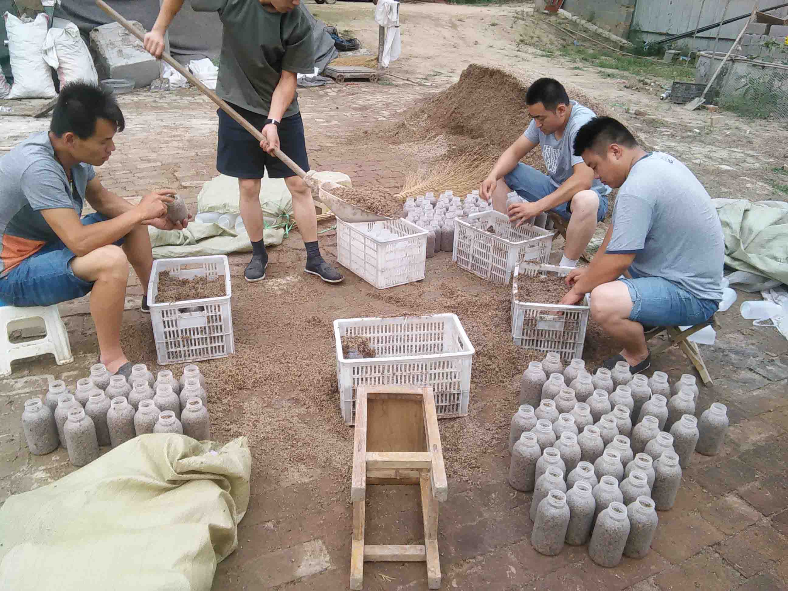 食用菌栽培技术--部分学员制作原种培养基装瓶