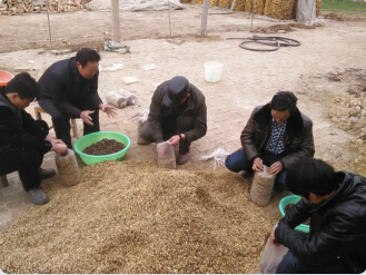 食用菌栽培技术--学员在薛老师指导下制作平菇生料栽培菌包