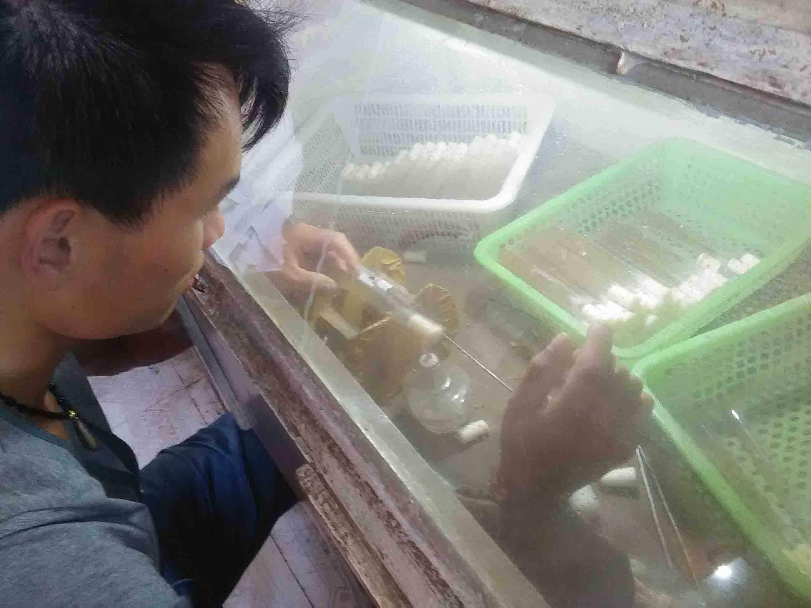 食用菌栽培技术--贵州学员认真扩繁食用菌母种